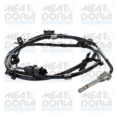 Sensor, exhaust gas temperature